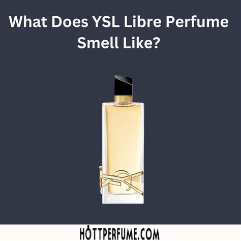 what does yves saint laurent libre smell like|ysl libre reviews.